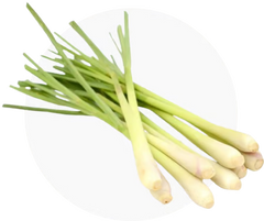 Lemongrass